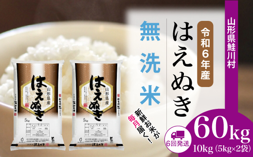 ＜令和6年産米＞ 約2週間でお届け開始　はえぬき【無洗米】60kg定期便(10kg×6回)　鮭川村