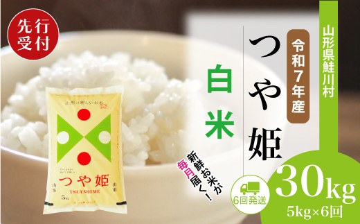 ＜令和7年産米先行受付＞ 令和8年1月上旬より配送開始 特別栽培米 つや姫【白米】30kg定期便 (5kg×6回)　鮭川村