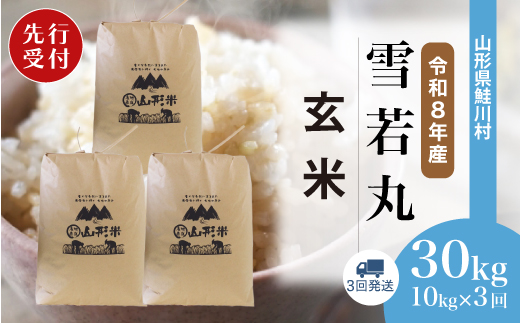 ＜令和8年産米先行受付＞ 令和9年4月上旬より配送開始 雪若丸【玄米】30kg 定期便 (10kg×3回) 鮭川村