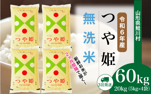 ＜令和6年産米＞ 令和6年12月下旬より配送開始 特別栽培米 つや姫【無洗米】60kg定期便(20kg×3回)　鮭川村