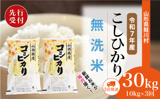 ＜令和7年産米先行受付＞ 令和7年11月中旬より配送開始 こしひかり【無洗米】30kg定期便 (10kg×3回)　鮭川村