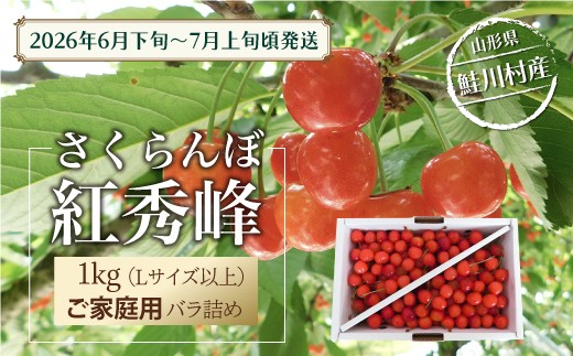 鮭川村産さくらんぼ ＜紅秀峰＞家庭用バラ詰め 1kg　