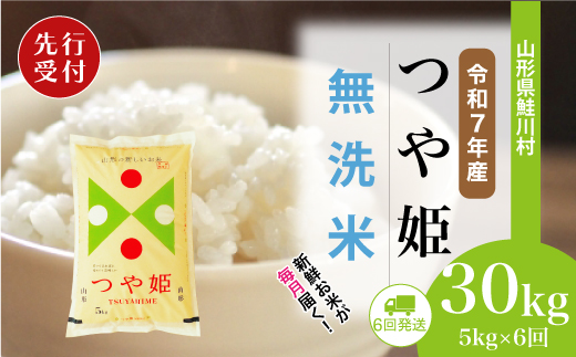 ＜令和7年産米先行受付＞ 令和8年1月中旬より配送開始 特別栽培米 つや姫【無洗米】30kg定期便 (5kg×6回)　鮭川村