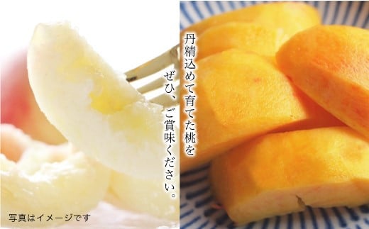 鮭川村産「桃」品種おまかせ 　約3kg