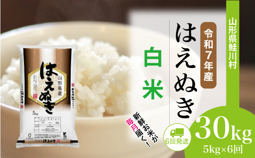 ＜令和7年産米＞ 令和8年4月上旬より配送開始 はえぬき【白米】30kg定期便 (5kg×6回)　鮭川村