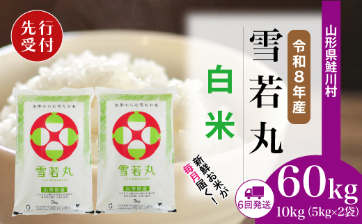 ＜令和8年産米先行受付＞ 令和9年3月上旬より配送開始 雪若丸【白米】60kg定期便(10kg×6回)　鮭川村