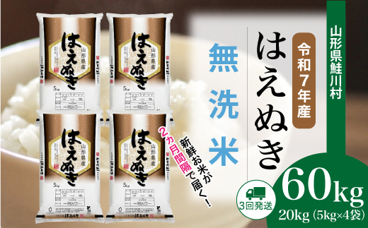 ＜令和7年産米＞ 令和8年1月上旬より配送開始 はえぬき【無洗米】60kg定期便(20kg×3回)　鮭川村
