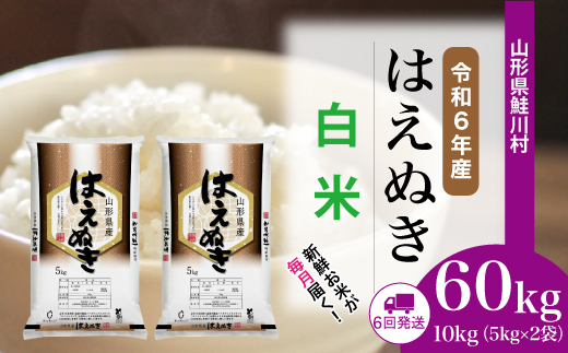 ＜令和6年産米＞ 約2週間でお届け開始　はえぬき【白米】60kg定期便(10kg×6回)　鮭川村