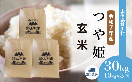 ＜令和7年産米＞ 令和8年7月上旬より配送開始 特別栽培米 つや姫【玄米】30kg 定期便 (10kg×3回) 鮭川村