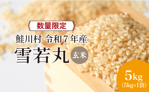 ◇数量限定品◇ 令和8年4月上旬発送 ＜令和7年産＞ 雪若丸 【玄米】 5kg （5kg×1袋）鮭川村