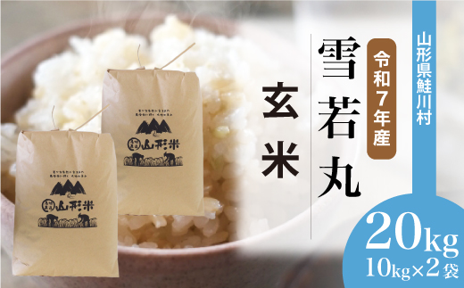＜令和7年産米＞ 令和8年3月中旬発送　雪若丸 【玄米】 20kg （10kg×2袋） 鮭川村