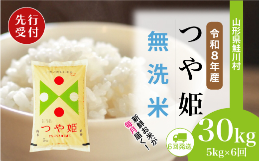 ＜令和8年産米先行受付＞ 令和9年1月中旬より配送開始 特別栽培米 つや姫【無洗米】30kg定期便 (5kg×6回)　鮭川村