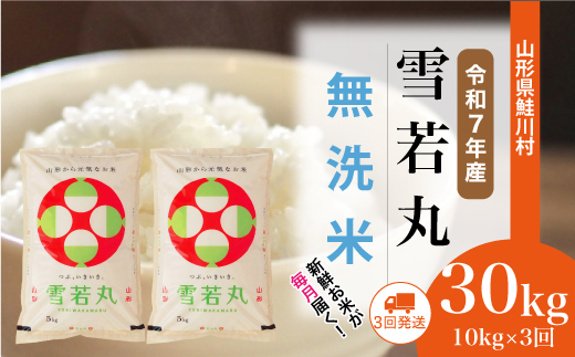 ＜令和7年産米＞ 令和8年1月上旬より配送開始 雪若丸【無洗米】30kg定期便 (10kg×3回)　鮭川村