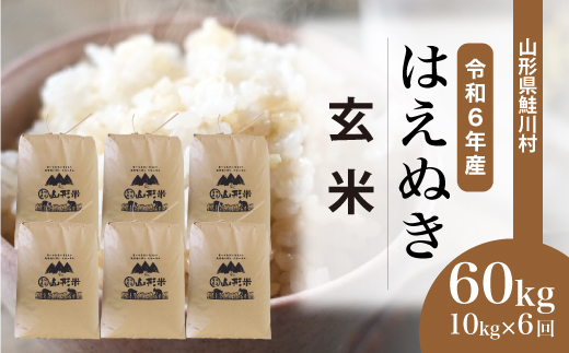 ＜令和6年産米＞ 令和6年12月中旬より配送開始 はえぬき【玄米】60kg定期便(10kg×6回)　鮭川村