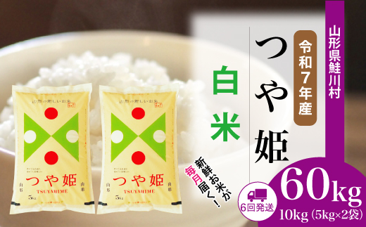 ＜令和7年産米＞ 令和8年1月上旬より配送開始 特別栽培米 つや姫【白米】60kg定期便(10kg×6回)　鮭川村