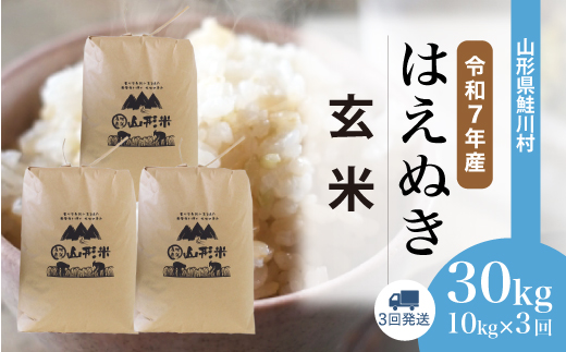 ＜令和7年産米＞ 令和8年7月上旬より配送開始 はえぬき【玄米】30kg 定期便 (10kg×3回) 鮭川村