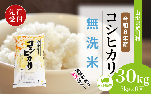 ＜令和8年産米先行受付＞ 令和9年3月上旬より配送開始 こしひかり【無洗米】30kg定期便 (5kg×6回)　鮭川村