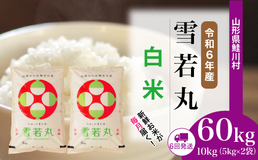 ＜令和6年産米＞ 令和6年11月下旬より配送開始 雪若丸【白米】60kg定期便(10kg×6回)　鮭川村