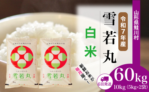 ＜令和7年産米＞ 令和8年1月中旬より配送開始 雪若丸【白米】60kg定期便(10kg×6回)　鮭川村
