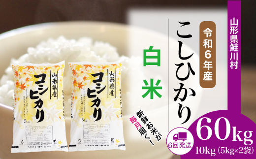 ＜令和6年産米＞ 約2週間でお届け開始　コシヒカリ【白米】60kg定期便(10kg×6回)　鮭川村