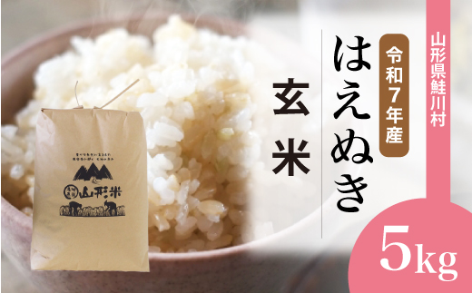 ＜令和7年産米＞ 令和8年8月上旬発送　はえぬき 【玄米】 5kg （5kg×1袋） 鮭川村