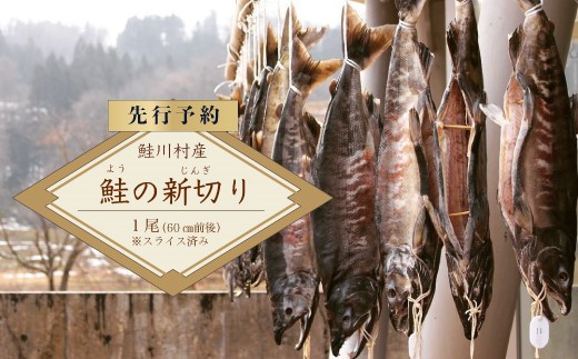 【先行予約】鮭川村産　鮭（よう）の新切り