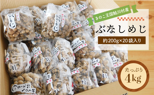 きのこ王国鮭川村産 ［ぶなしめじ］ たっぷり4kg（約200g×20袋入り）