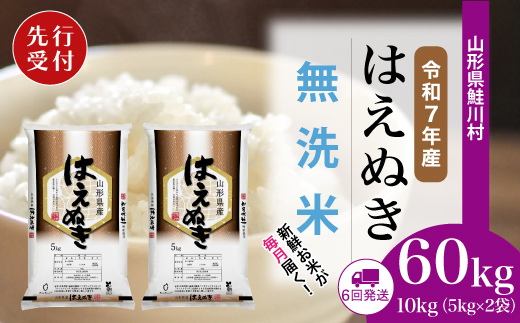 ＜令和7年産米先行受付＞ 令和8年1月下旬より配送開始 はえぬき【無洗米】60kg定期便(10kg×6回)　鮭川村