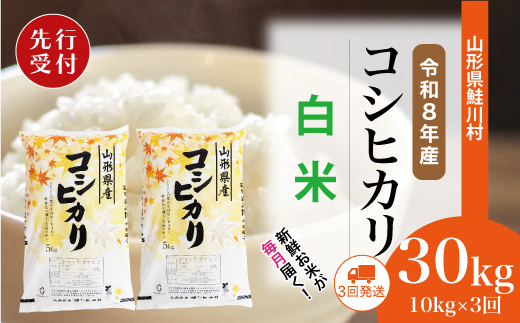 ＜令和8年産米先行受付＞ 令和9年3月中旬より配送開始 こしひかり【白米】30kg定期便 (10kg×3回)　鮭川村