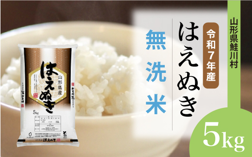 ★数量限定★　令和7年産 山形県産　はえぬき 【無洗米】 5kg （5kg×1袋） 鮭川村　＜お申し込み完了後10日程度で発送＞