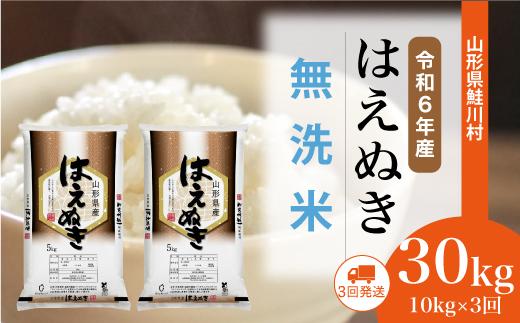 [令和6年産米] 令和6年11月下旬より配送開始 はえぬき[無洗米]30kg定期便 (10kg×3回) 鮭川村