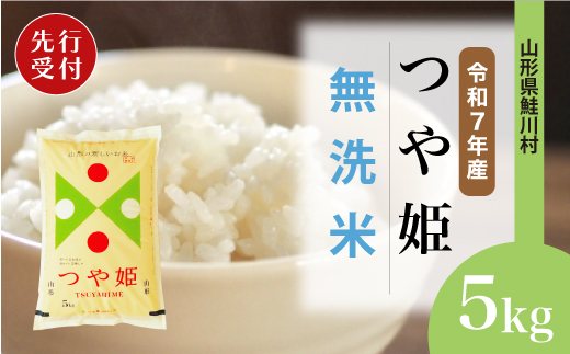 ＜令和7年産米先行受付＞ 令和8年1月上旬発送　特別栽培米 つや姫 【無洗米】 5kg （5kg×1袋） 鮭川村
