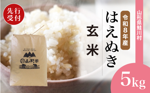 ＜令和8年産米先行受付＞ 令和9年4月下旬発送　はえぬき 【玄米】 5kg （5kg×1袋） 鮭川村