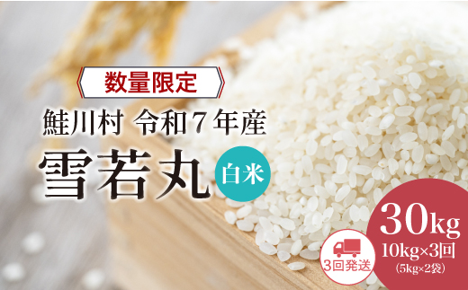 ◇数量限定品◇ 令和8年7月中旬より発送 ＜令和7年産＞ 雪若丸【白米】30kg定期便 (10kg×3回)　鮭川村