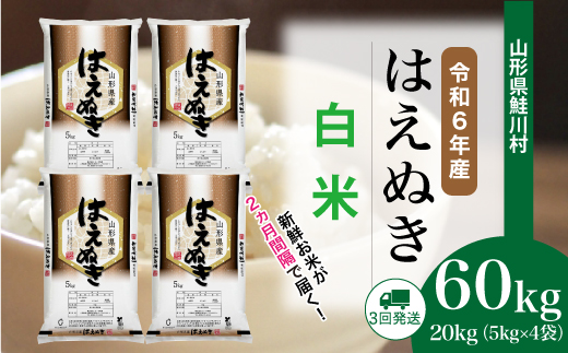 ＜令和6年産米＞ 約2週間でお届け開始　はえぬき【白米】60kg定期便(20kg×3回)　鮭川村