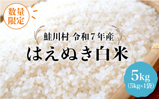 ◇数量限定品◇ 令和8年5月中旬発送 ＜令和7年産＞ はえぬき 【白米】 5kg （5kg×1袋）鮭川村