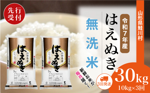 ＜令和7年産米先行受付＞ 令和8年2月中旬より配送開始 はえぬき【無洗米】30kg定期便 (10kg×3回)　鮭川村