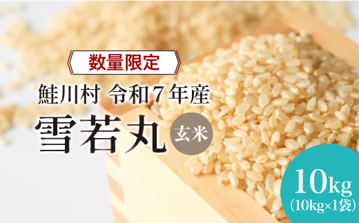 ◇数量限定品◇ 令和8年4月中旬発送 ＜令和7年産＞ 雪若丸 【玄米】 10kg （10kg×1袋）鮭川村