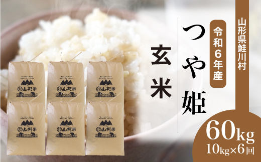 ＜令和6年産米＞ 令和7年2月下旬より配送開始 特別栽培米 つや姫【玄米】60kg定期便(10kg×6回)　鮭川村