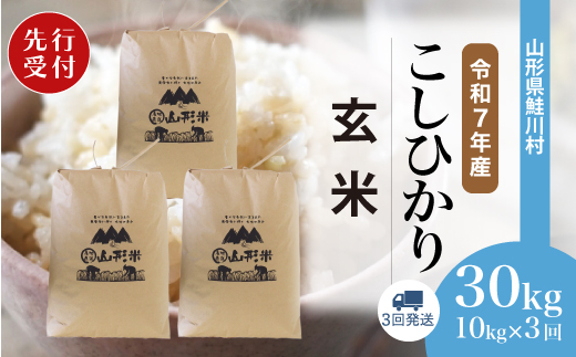 ＜令和7年産米先行受付＞ 令和7年12月下旬より配送開始 こしひかり【玄米】30kg 定期便 (10kg×3回) 鮭川村