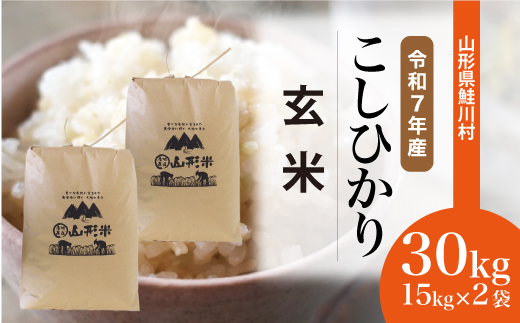 ★数量限定★　令和7年産 山形県産　こしひかり 【玄米】 30kg （15kg×2袋） 沖縄県・離島配送不可  鮭川村　＜お申し込み完了後10日程度で発送＞