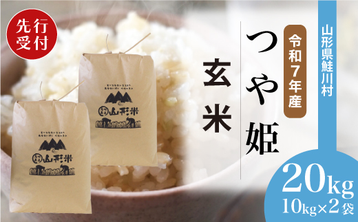 ＜令和7年産米先行受付＞ 令和8年1月上旬発送　特別栽培米 つや姫 【玄米】 20kg （10kg×2袋） 鮭川村
