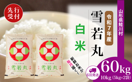 ＜令和7年産米先行受付＞ 令和7年12月下旬より配送開始 雪若丸【白米】60kg定期便(10kg×6回)　鮭川村