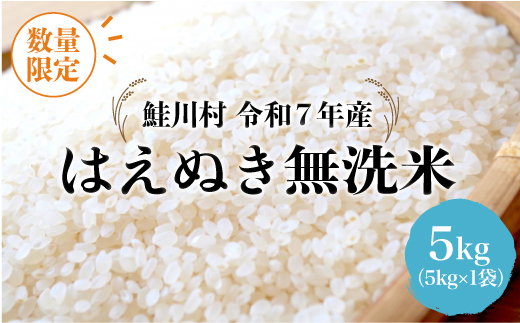 ◇数量限定品◇ 令和8年9月上旬発送 ＜令和7年産＞ はえぬき 【無洗米】 5kg （5kg×1袋）鮭川村