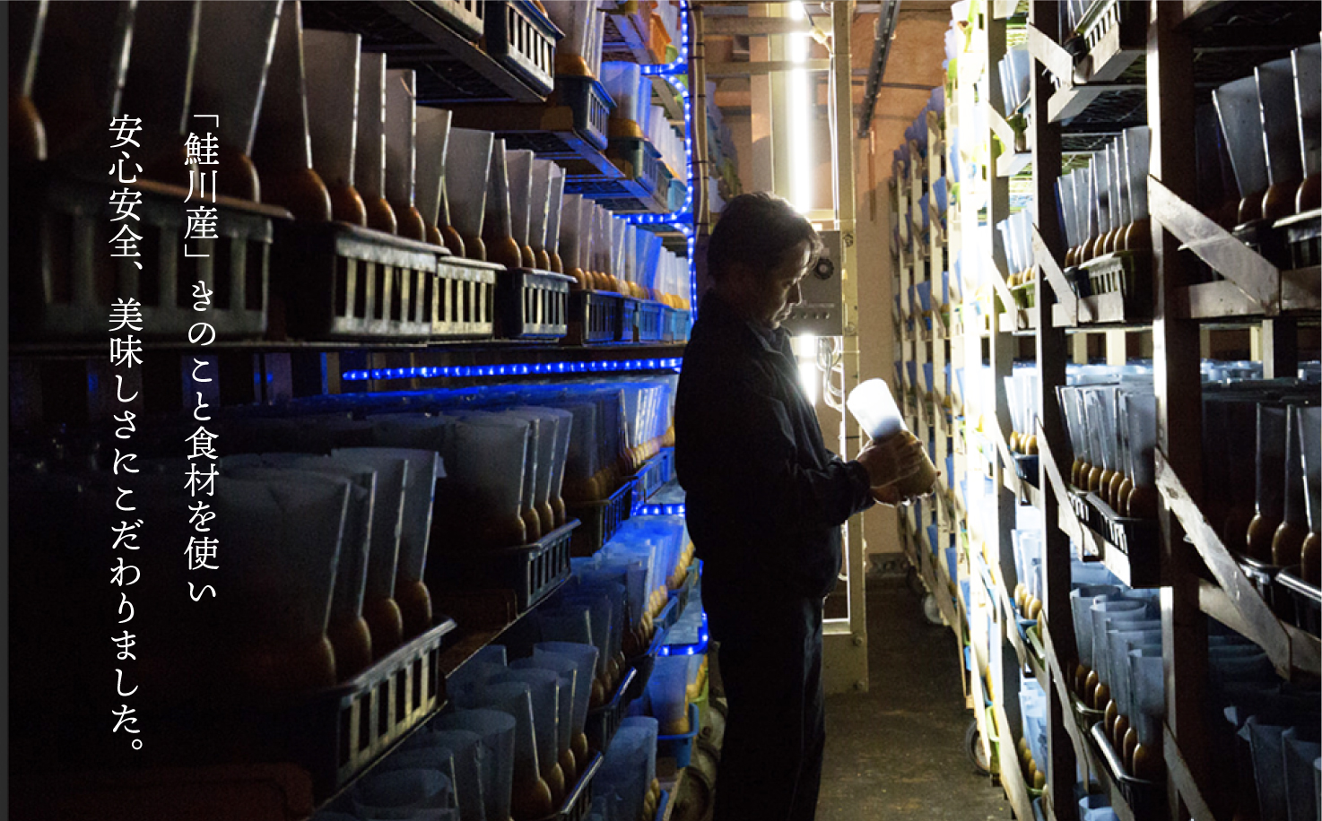 きのこ王国鮭川村産 　えのきドライ　4種セット