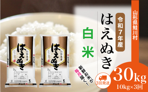 [令和7年産米] 令和7年12月上旬より配送開始 はえぬき[白米]30kg定期便 (10kg×3回) 鮭川村