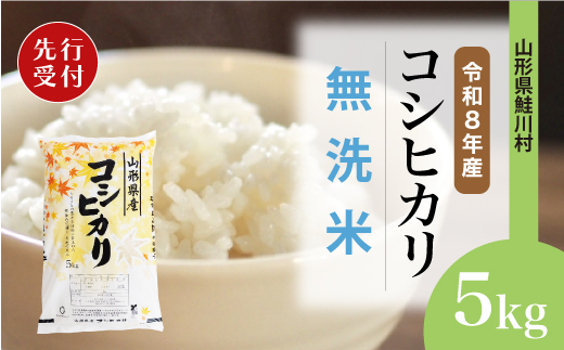 ＜令和8年産米先行受付＞ 令和8年12月上旬発送　こしひかり 【無洗米】 5kg （5kg×1袋） 鮭川村