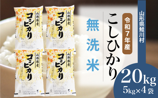 ★数量限定★　令和7年産 山形県産　こしひかり 【無洗米】 20kg （5kg×4袋） 鮭川村　＜お申し込み完了後10日程度で発送＞