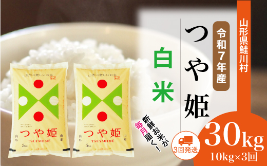 ＜令和7年産米＞ 令和8年6月上旬より配送開始 特別栽培米 つや姫【白米】30kg定期便 (10kg×3回)　鮭川村