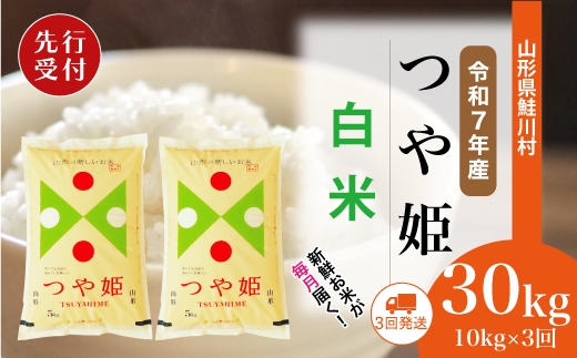 ＜令和7年産米先行受付＞ 令和8年1月中旬より配送開始 特別栽培米 つや姫【白米】30kg定期便 (10kg×3回)　鮭川村